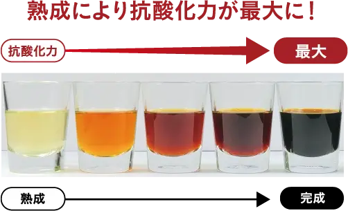 熟成により抗酸化力が最大に！