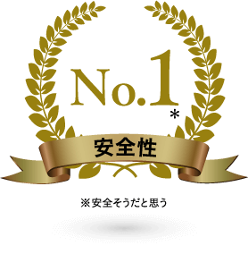 No.1　安全性
