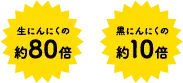 生にんにくの約80倍　黒にんにくの約10倍